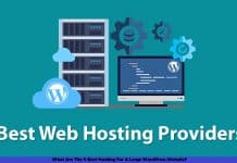 What Are The 5 Best Hosting For A Large WordPress Website