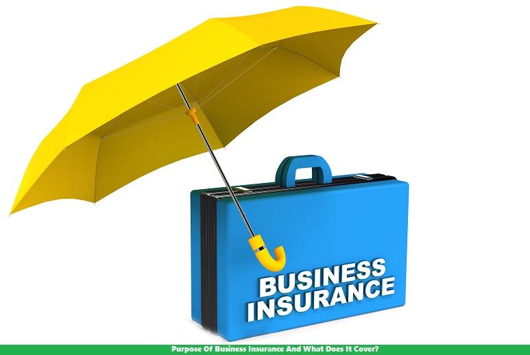 Purpose Of Business Insurance And What Does It Cover?
