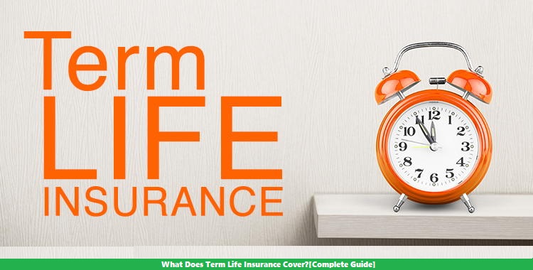 What Does Term Life Insurance Cover?[Complete Guide]