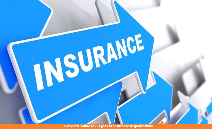 Complete Guide to 8 Types of Insurance Organizations
