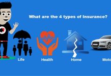 What are the 4 types of Insurance?